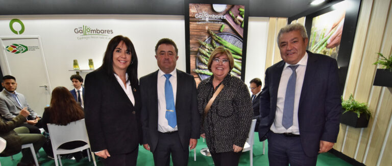 LOS GALLOMBARES AUMENTA SU PRODUCCIÓN DE ESPÁRRAGO UN 20% EN LA PRESENTE CAMPAÑA