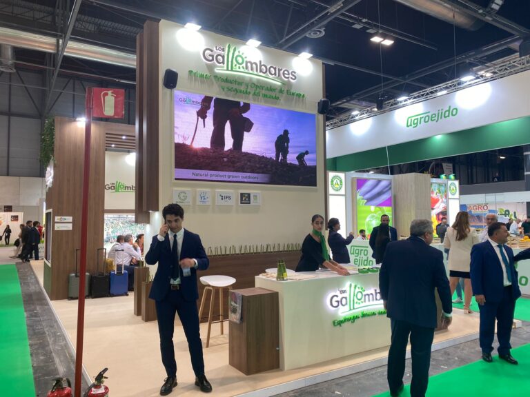 Los Gallombares refuerza su liderazgo europeo en espárrago verde con más producción e instalaciones sostenibles