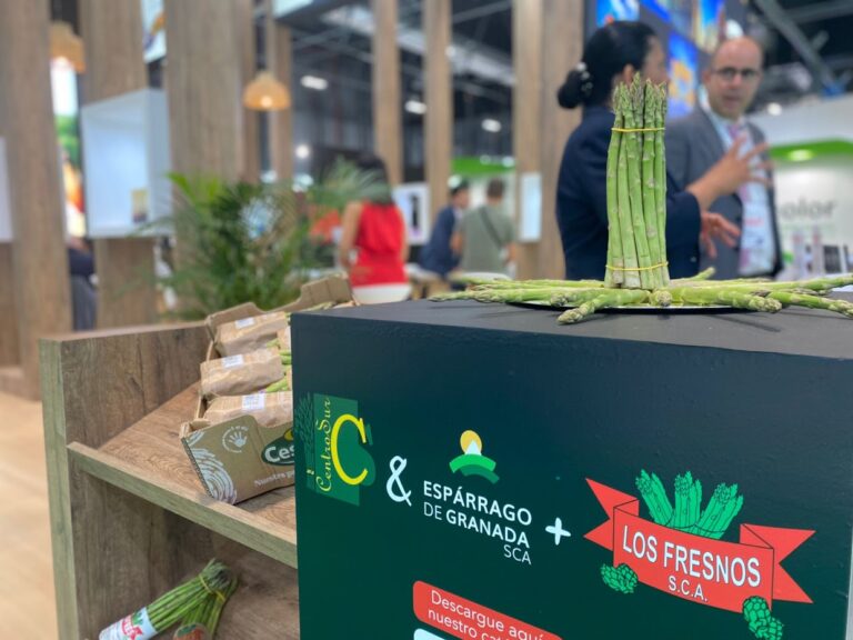 Centro Sur vuelve a Fruit Attraction con la mejor selección de espárragos verdes  