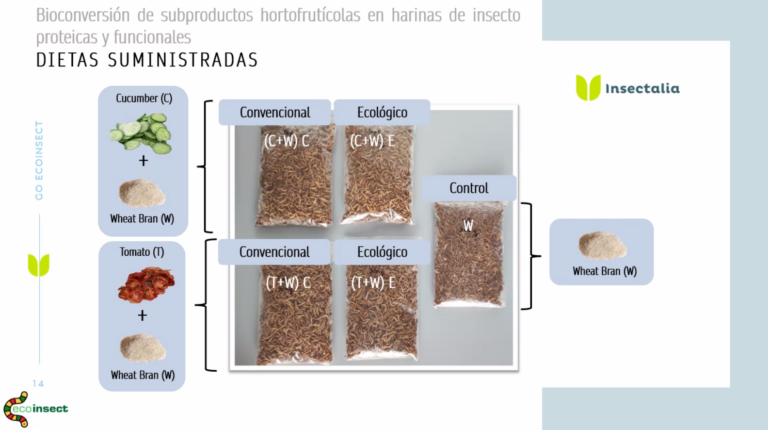 Los objetivos de ECOINSECT se presentan en una jornada online organizada por FIAB y Food For Life.
