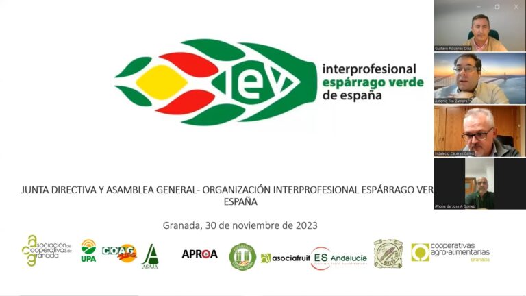 La Interprofesional del Espárrago Verde se reúne en asamblea para la aprobación del presupuesto de 2024
