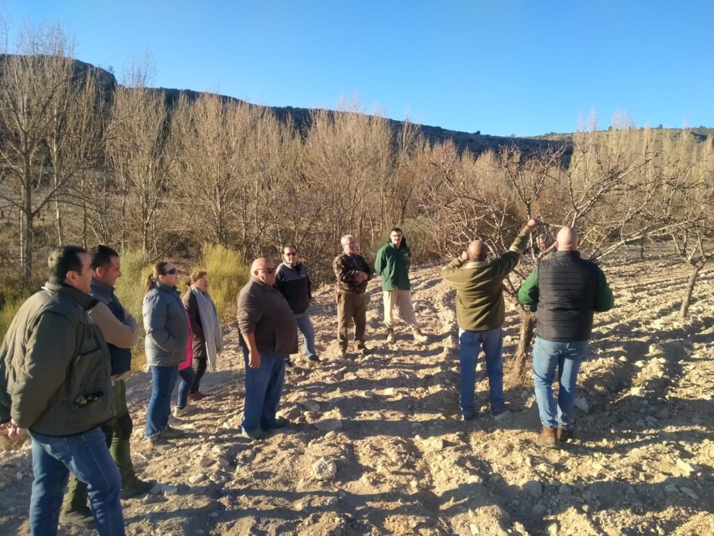 Cooperativas Agroalimentarias de Granada instruye a agricultores de Puebla de Don Fadrique en las mejores técnicas de poda de almendro