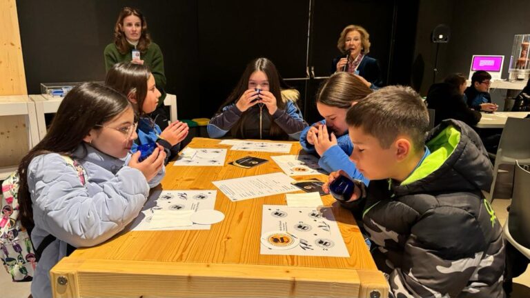 Escolares aprenden el arte de varear y participan en una cata de aceite junto a la DOP Montes de Granada