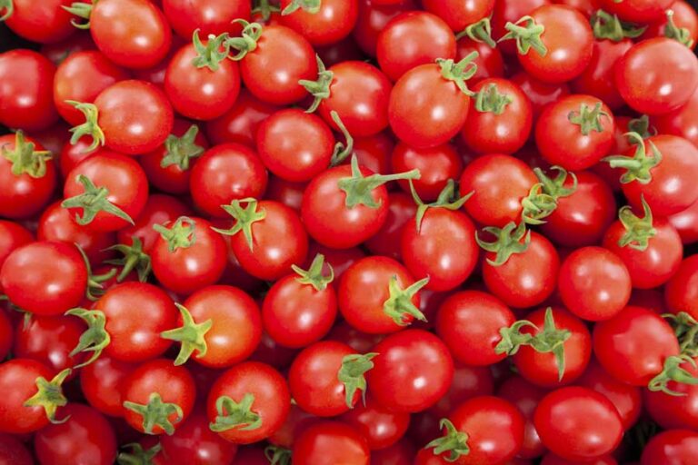Estudian el uso de semillas y pieles de tomate cherry procedentes de la elaboración de gazpachos para desarrollar nuevos alimentos