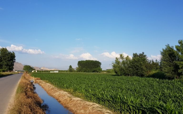 El BOE publica el plan de seguros agrarios para 2024, dotado con 284,52 millones