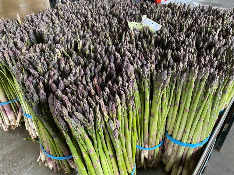 El espárrago pasa a considerarse especie plurianual tras la solicitud de Cooperativas Agroalimentarias de Granada