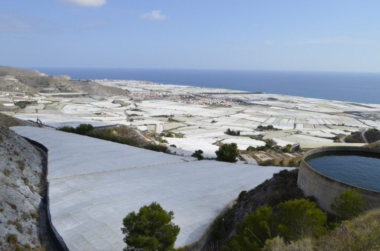 Avanza la redacción del Primer Plan Estratégico para las frutas y hortalizas de invernadero de Andalucía