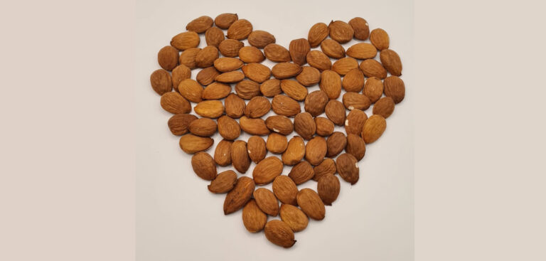 Abierta la campaña de exportación de almendra a China