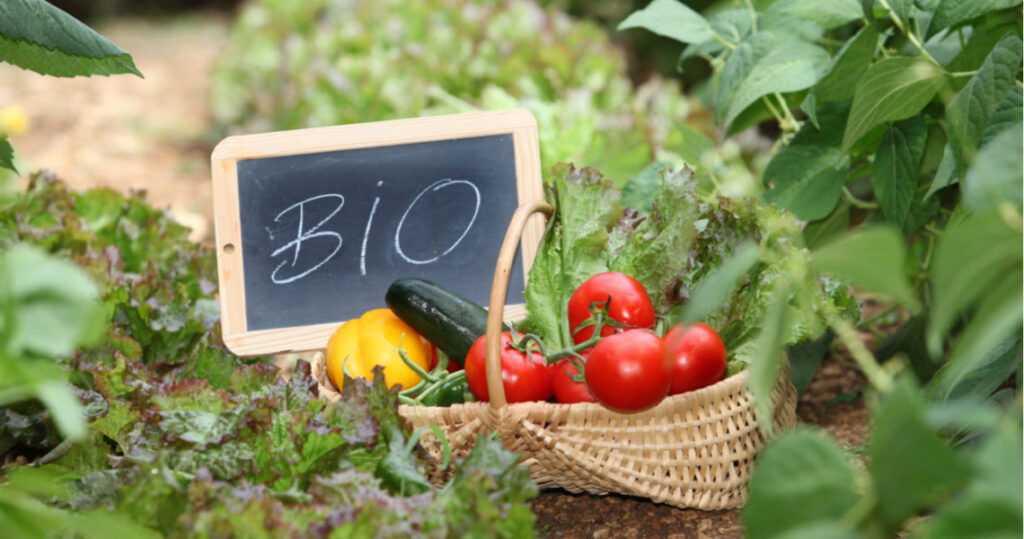 El consumo de alimentos ecológicos crece un 6,2% y cada consumidor gasta 64 euros al año