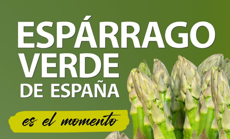 #ESELMOMENTO: El campo español ya está produciendo espárrago verde de máxima calidad
