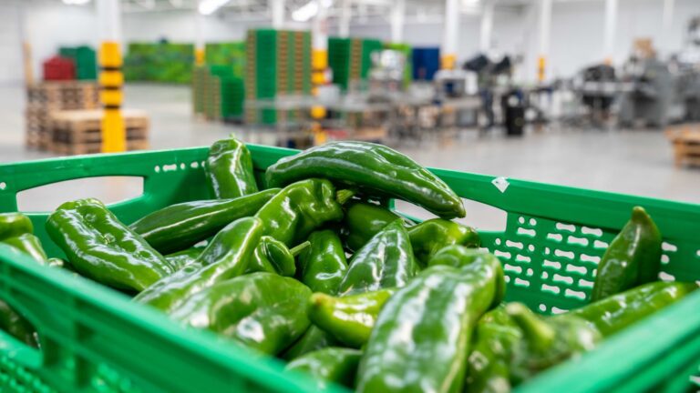 Las exportaciones agroalimentarias de Granada superan los 85 millones de euros en enero