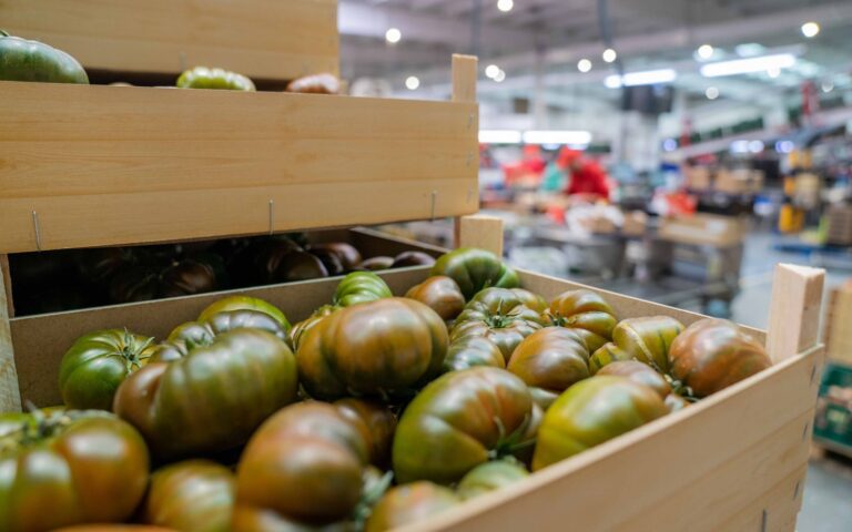 HORTYFRUTA reelige a todos los miembros de su Junta Directiva 