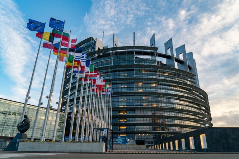 Las cooperativas agroalimentarias de la UE se unen para hacer oír su voz en las elecciones europeas de 2024