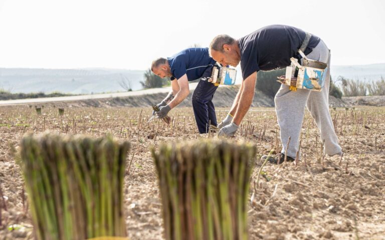 28-A: el Día Mundial de la Seguridad y la Salud en el Trabajo se dedica este año a las consecuencias del cambio climático