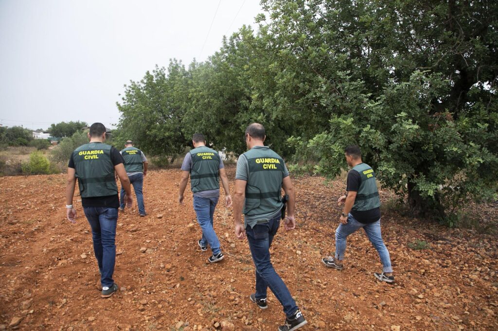 Cooperativas subraya el “significativo” descenso de robos en el campo en los primeros meses de 2024   