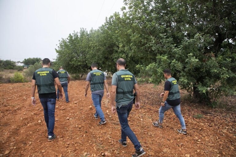 Cooperativas subraya el “significativo” descenso de robos en el campo en los primeros meses de 2024   