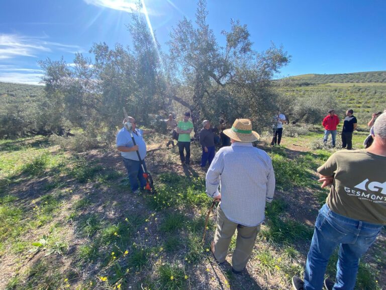 Cooperativas Agroalimentarias de Granada y Caja Rural impulsan la formación agraria en la provincia