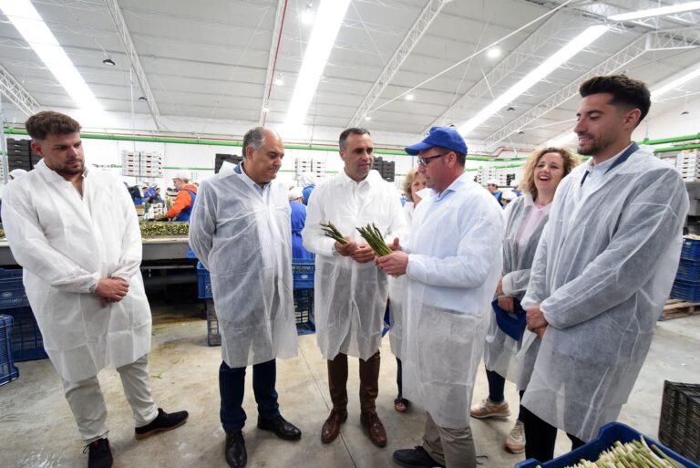 El presidente de la Diputación ofrece su apoyo al sector del espárrago en una visita a las cooperativas Centro Sur y Cosafra