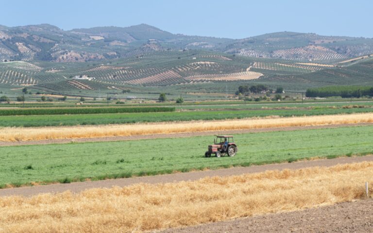El sector agroalimentario crece un 2,3% y ya supone el 8,9% del PIB nacional