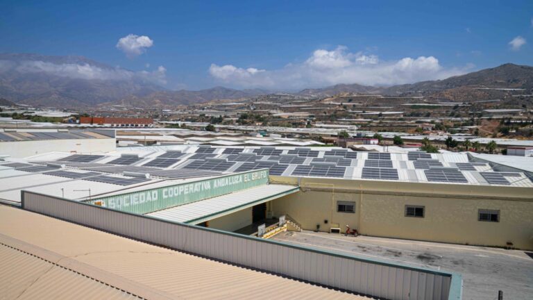 La cooperativa El Grupo culmina su plan energético con una instalación fotovoltaica que ahorra un 41% de energía