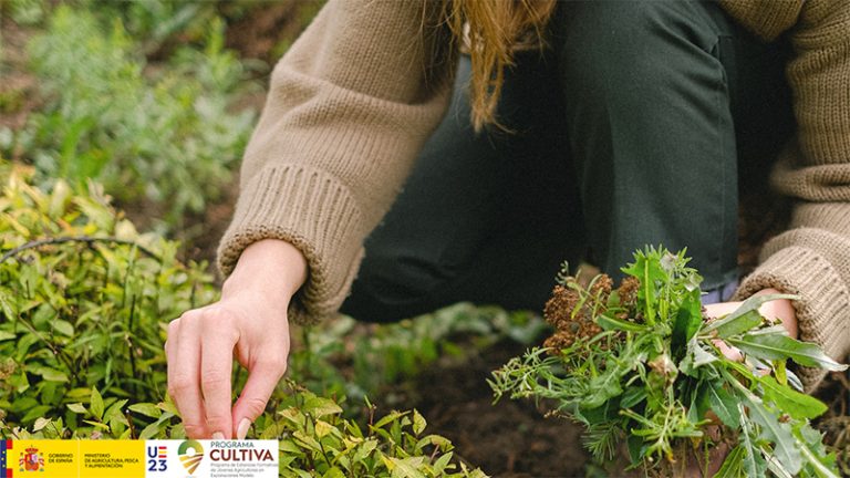 El Ministerio de Agricultura Pesca y Alimentación abre el plazo de solicitudes de estancias formativas Cultiva 2024