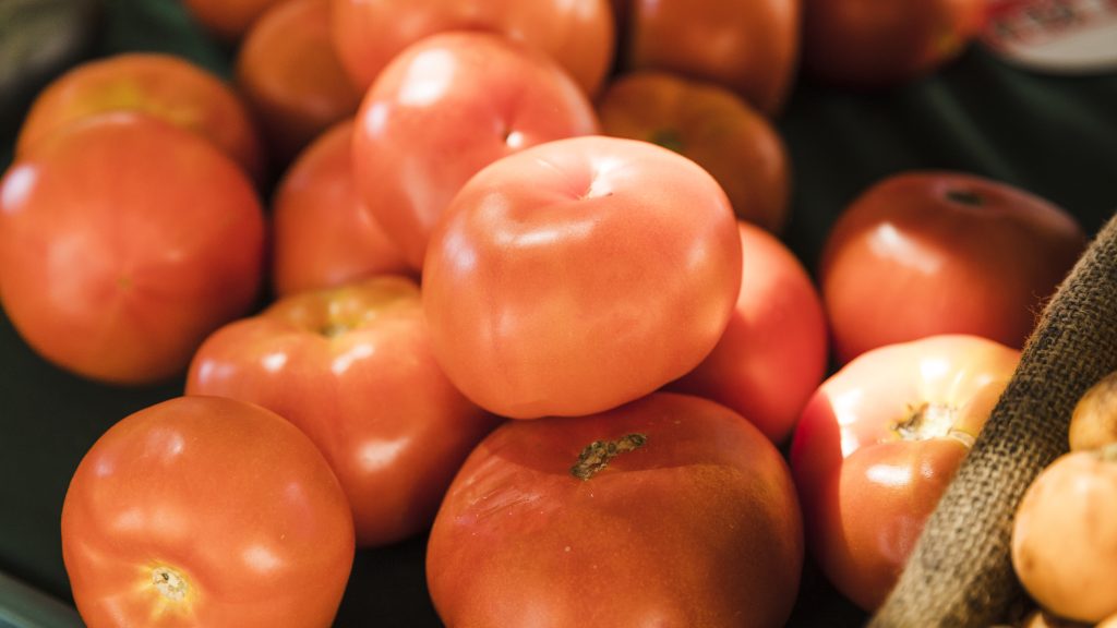 En retroceso la importación de tomate marroquí