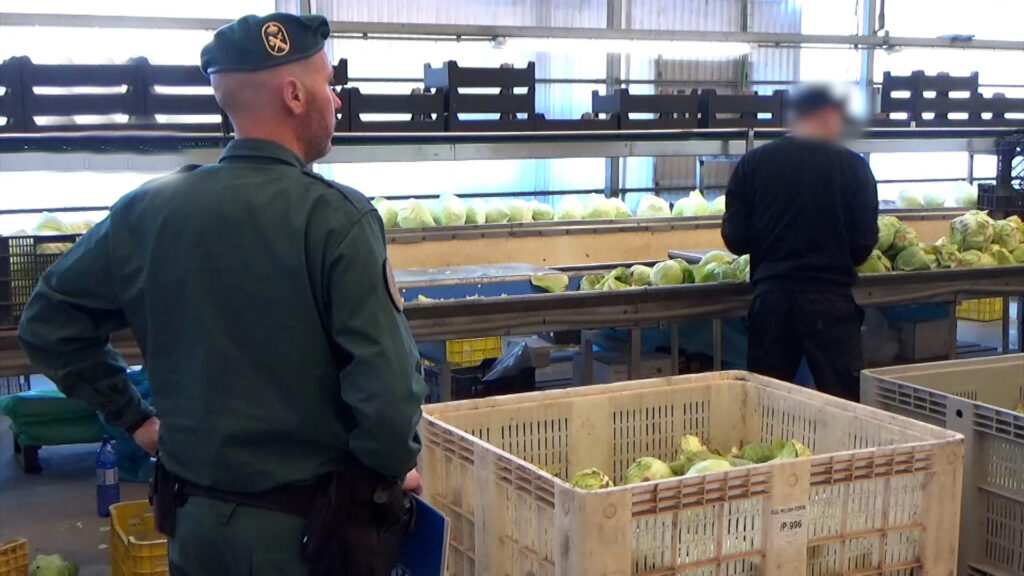 La Guardia Civil destapa una gran estafa de venta de falsas frutas y verduras ecológicas