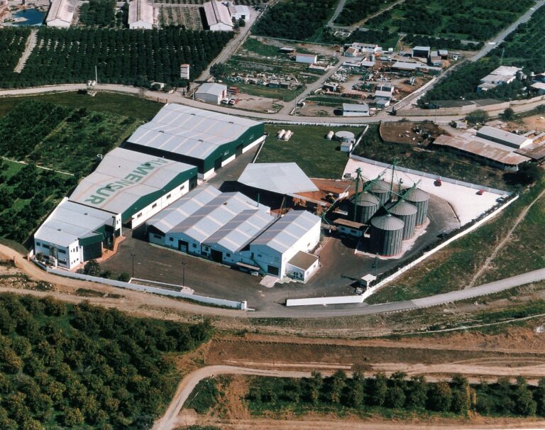La almendra andaluza se venderá en China: Almensur logra el permiso para exportar al gigante asiático