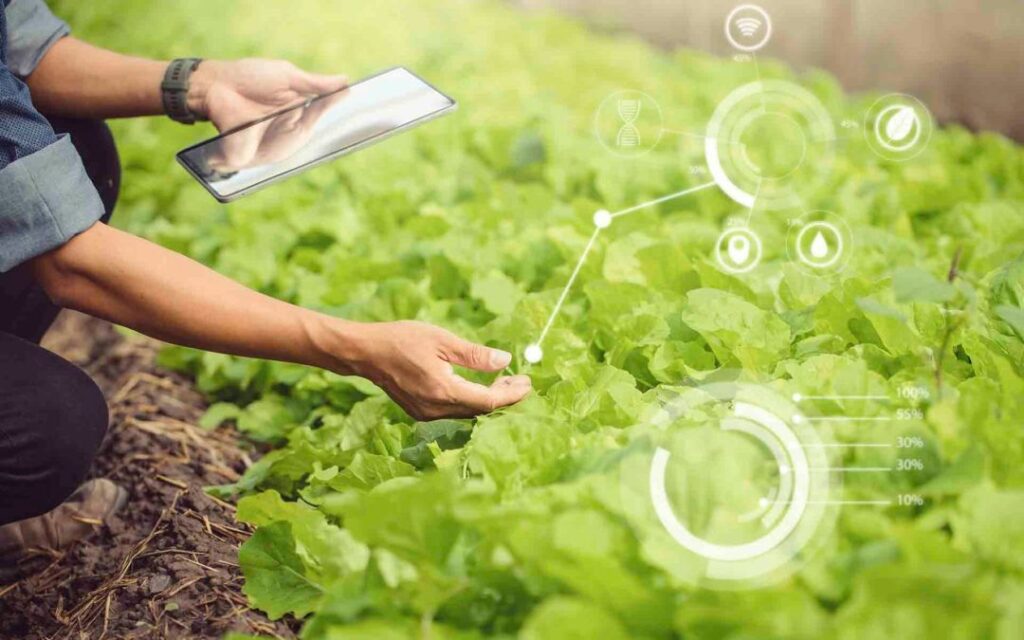 Expertos destacan que las cooperativas liderarán la revolución digital del sector agrícola