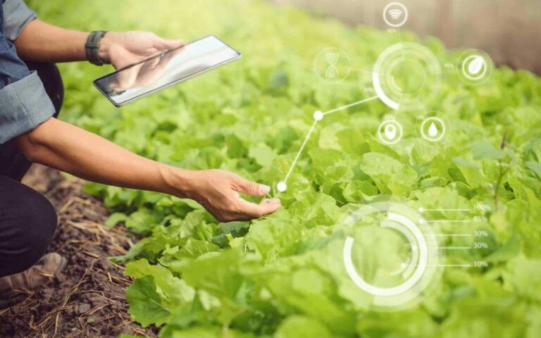 Expertos destacan que las cooperativas liderarán la revolución digital del sector agrícola