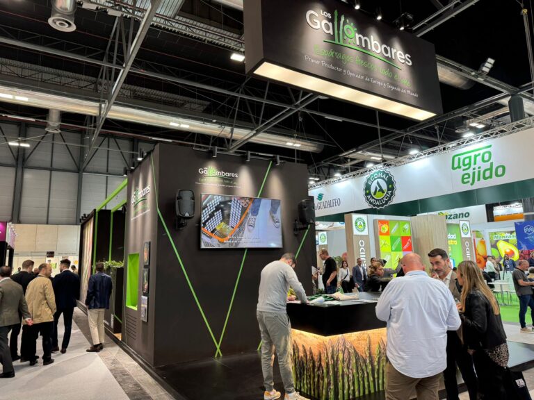 Los Gallombares se presenta en Fruit Attraction 2024 como productor de referencia de espárrago verde