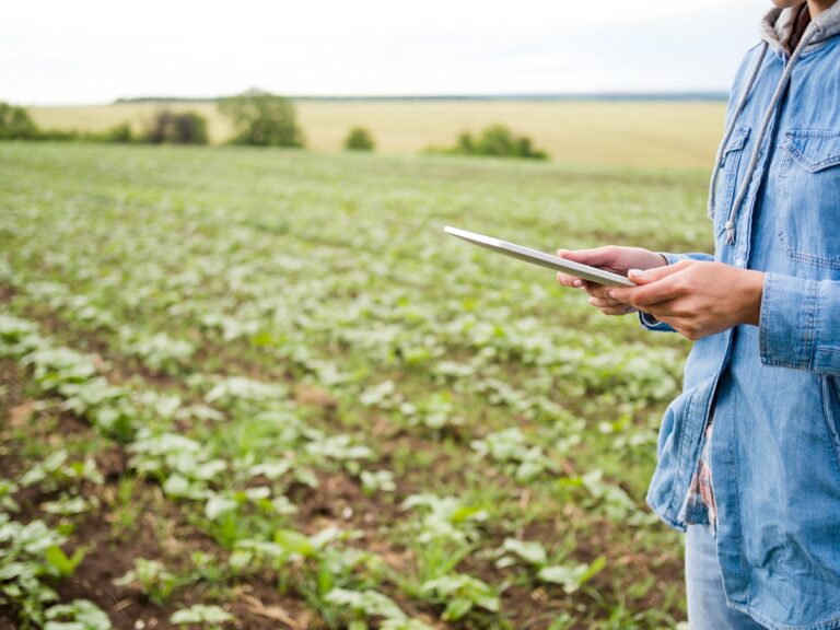 Cooperativas Agroalimentarias de España e Hispatec digitalizarán más de 240 cooperativas