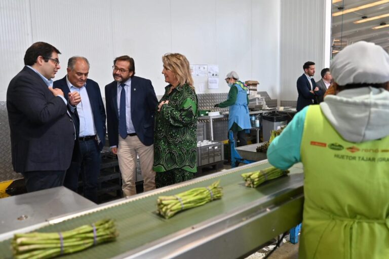 Apoyo institucional a la fusión de 3 cooperativas del espárrago en torno a Centro Sur