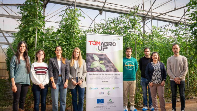 Tomates que abonan tomates: un proyecto pionero cierra el círculo y usa desechos del fruto para su propio cultivo 