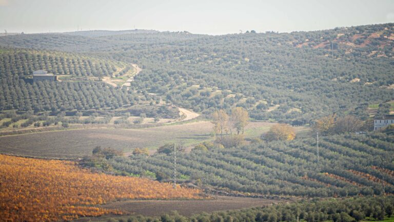 Más de 30.000 agricultores de la provincia pueden pedir ya la PAC para asegurar la viabilidad de sus explotaciones