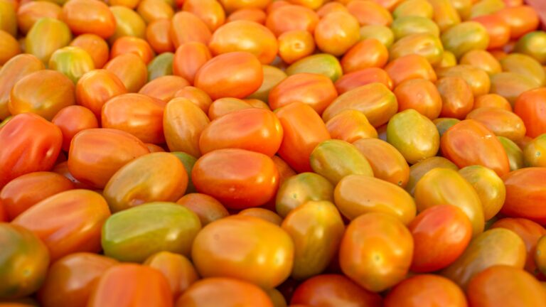 El Gobierno garantiza por ley frutas y hortalizas en los comedores escolares