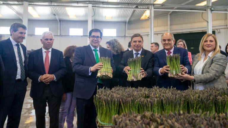 El ministro de Agricultura visita Centro Sur, un modelo de éxito cooperativo, en plena campaña de recogida del espárrago verde