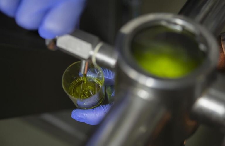 La compra de aceite de oliva subió un 48 % en febrero tras caer su precio