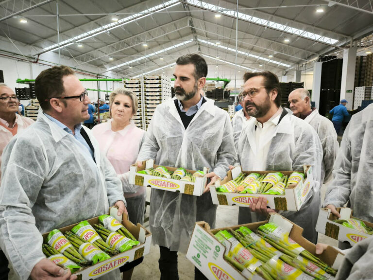Nuevas ayudas para la modernización del sector agroalimentario