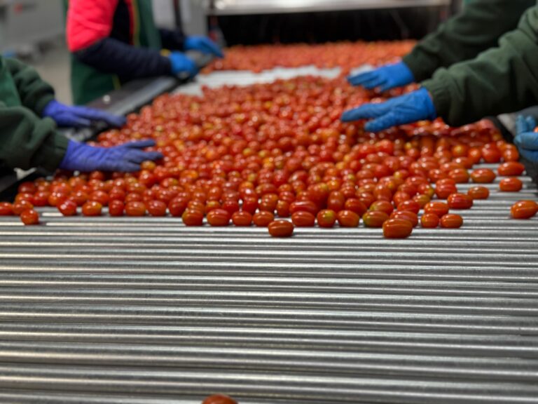 El gran apagón pone a prueba la fortaleza de las cooperativas agroalimentarias de la provincia