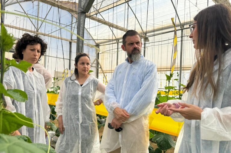 El proyecto MACROALGAE llega a su fase final con resultados positivos