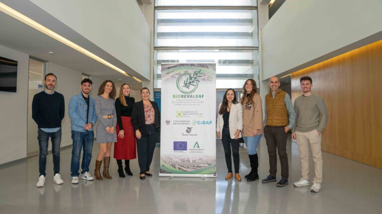 BIOREVALEAF culmina con éxito: la hoja de olivo se convierte en aliada de la alimentación saludable y la sostenibilidad