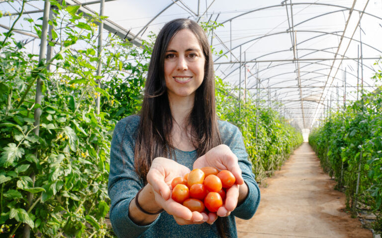 CHERRY4FOOD culmina con soluciones innovadoras para dar una segunda vida al residuo del gazpacho