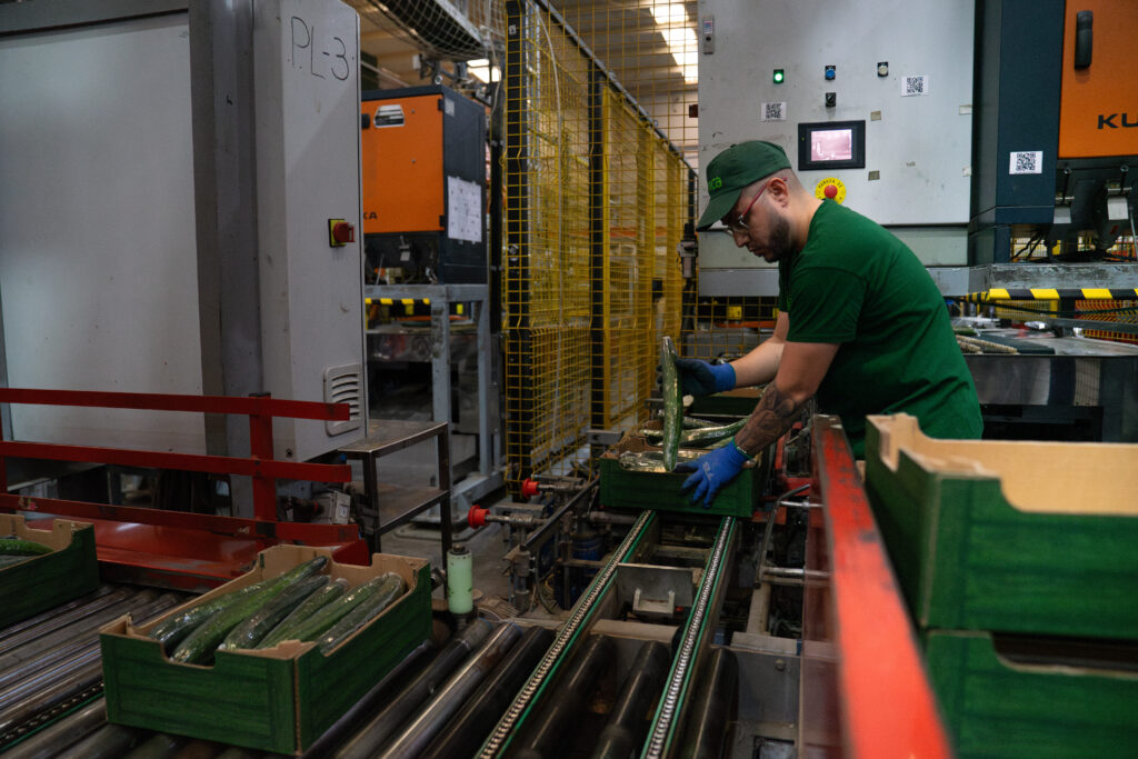 Agricultura convoca ayudas para la transformación y comercialización de productos agroalimentarios