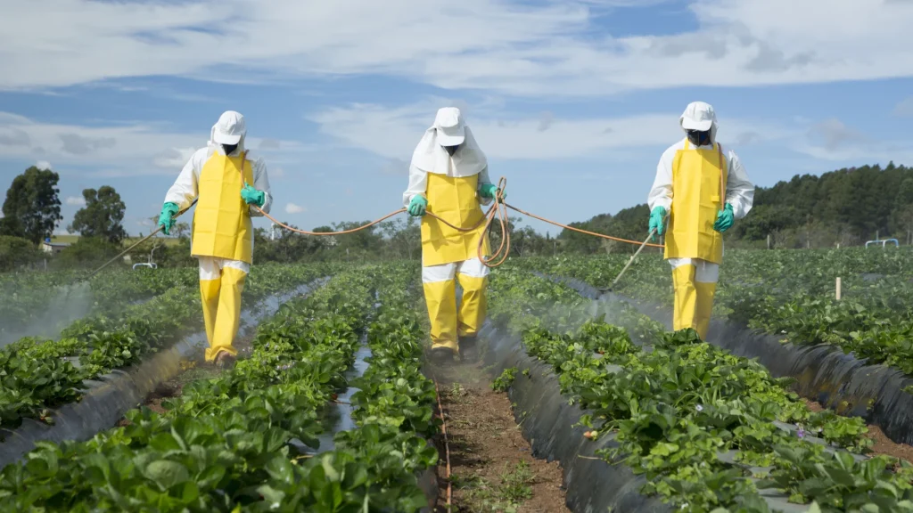 Francia suprimirá la importación de frutas y hortalizas con pesticidas prohibidos