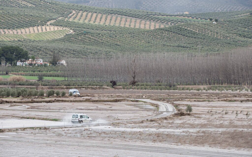 Primeras ayudas para paliar los daños del temporal en el campo andaluz