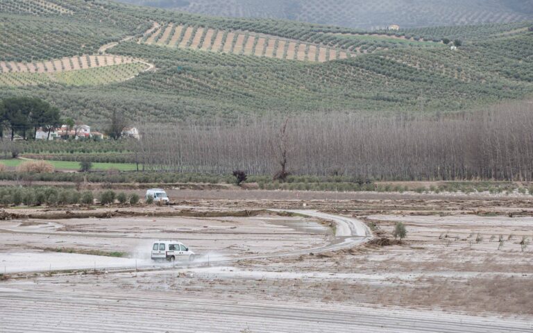 Primeras ayudas para paliar los daños del temporal en el campo andaluz