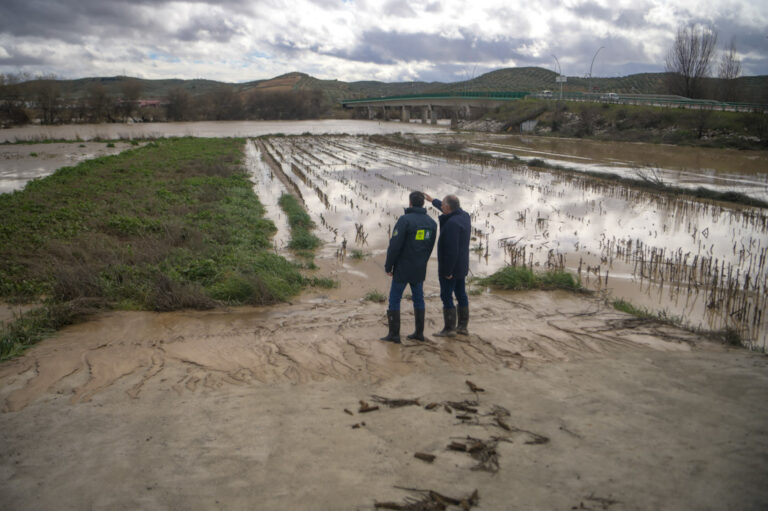 FAECA evalúa los daños de las inundaciones en las explotaciones de las cooperativas