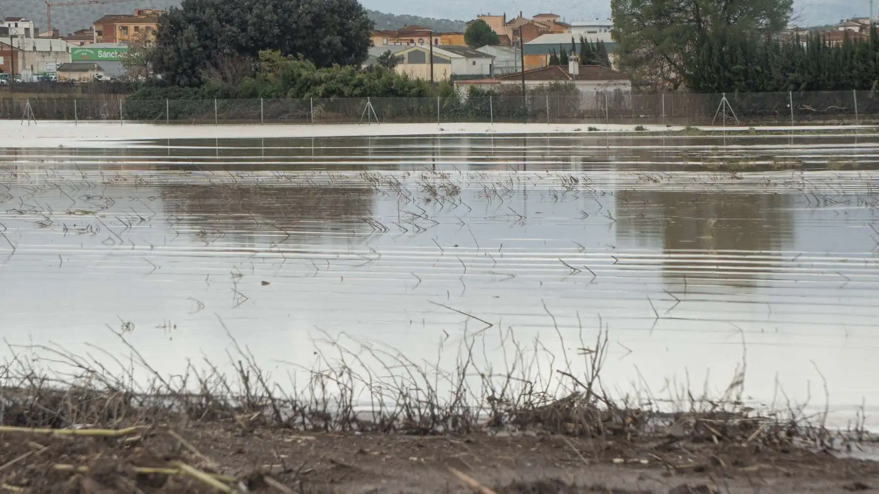 Campos de cultivo de espárrago verde anegados por el desbordamiento del río Genil en Huétor Tájar tras el paso del temporal de lluvias en marzo de 2026.