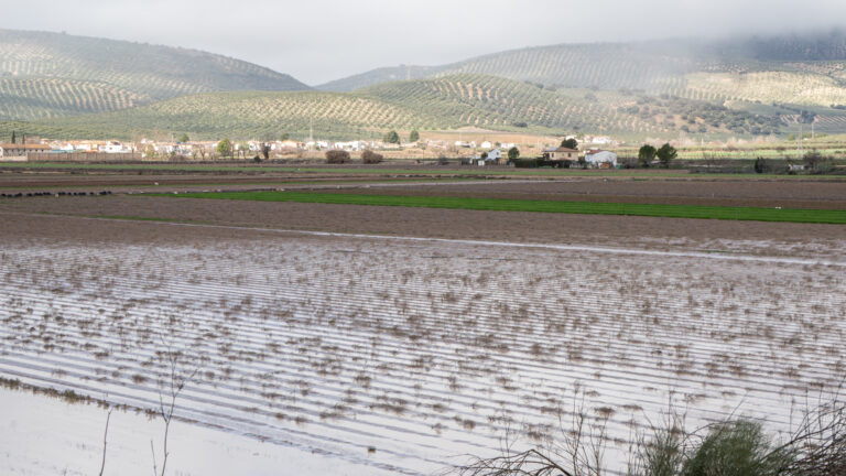 Los agricultores y ganaderos comienzan a recibir los pagos de las ayudas del Gobierno por las borrascas